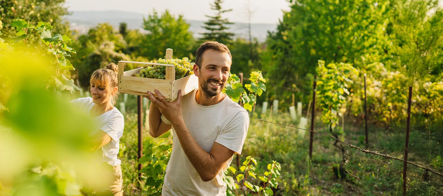 Varčevalni Načrt 1