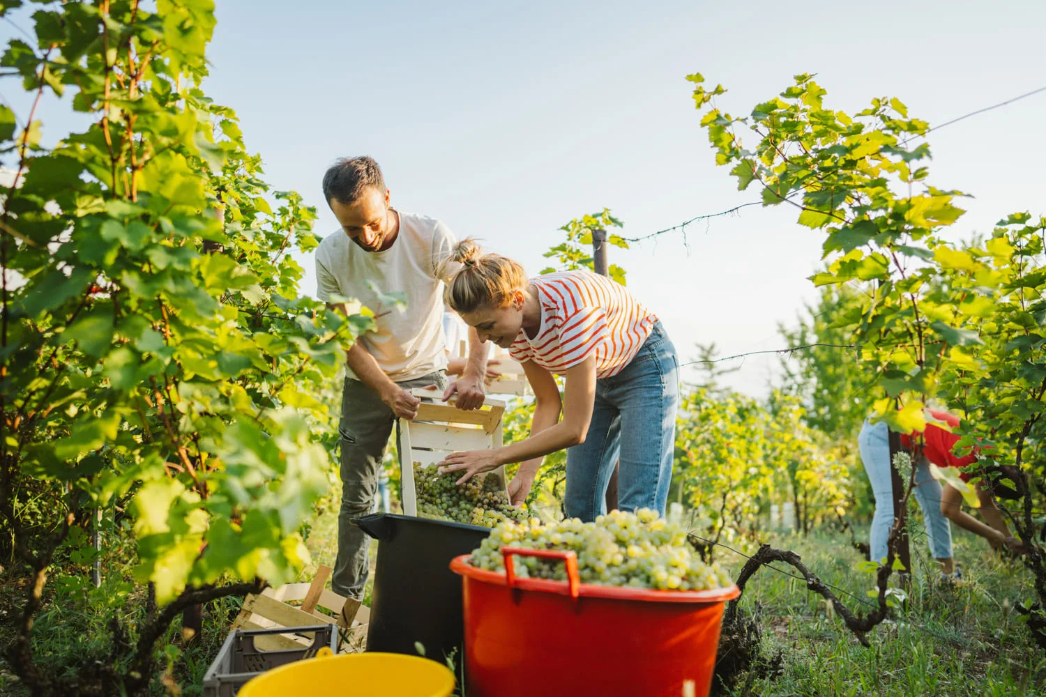 Varčevalni Načrt 2