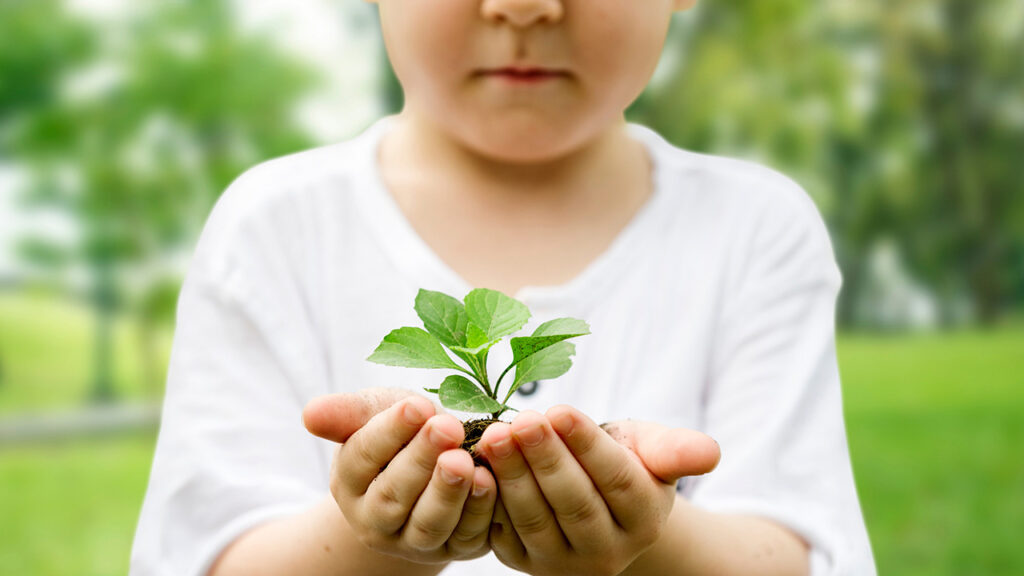 Little Boy Holding Soil And Plant In The Park We Are Proud To S