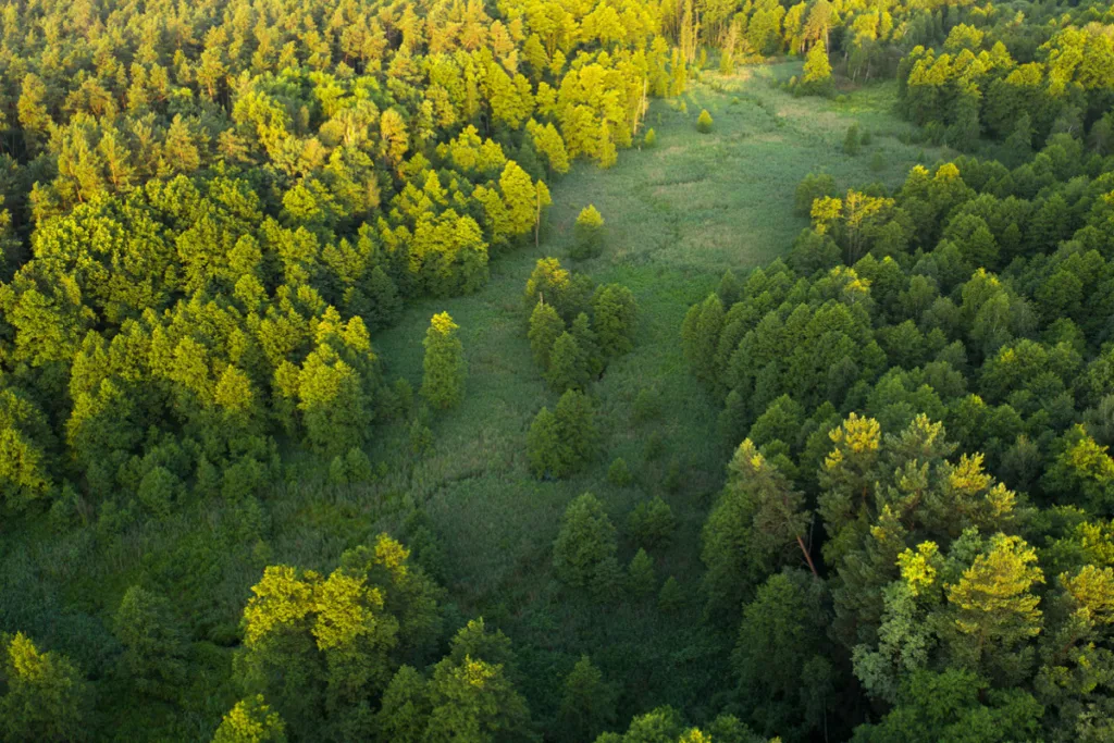 Ogljicni odtis skupine Gorenjska banka za leto 2023