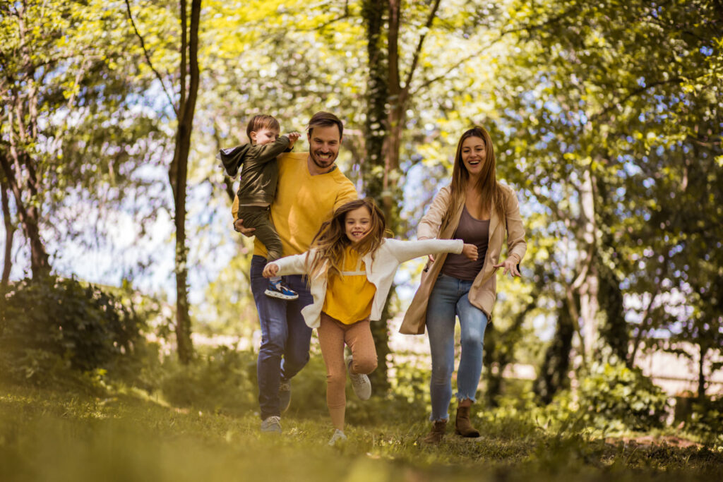 Gorenjska banka - Informativni Izračun Kredita